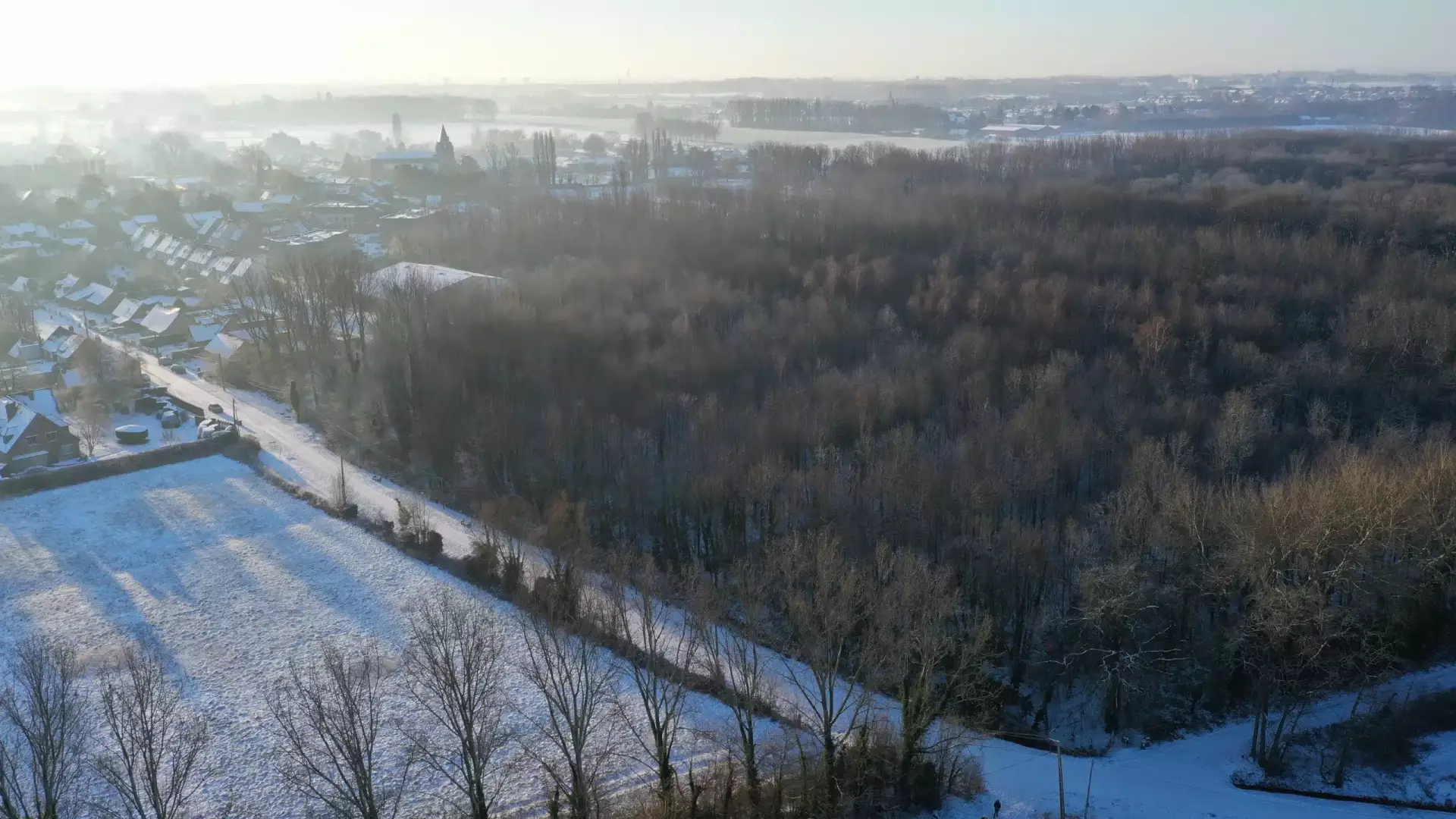 Photo aérienne de Lille en hiver avec forêt et quartiers résidentiels.