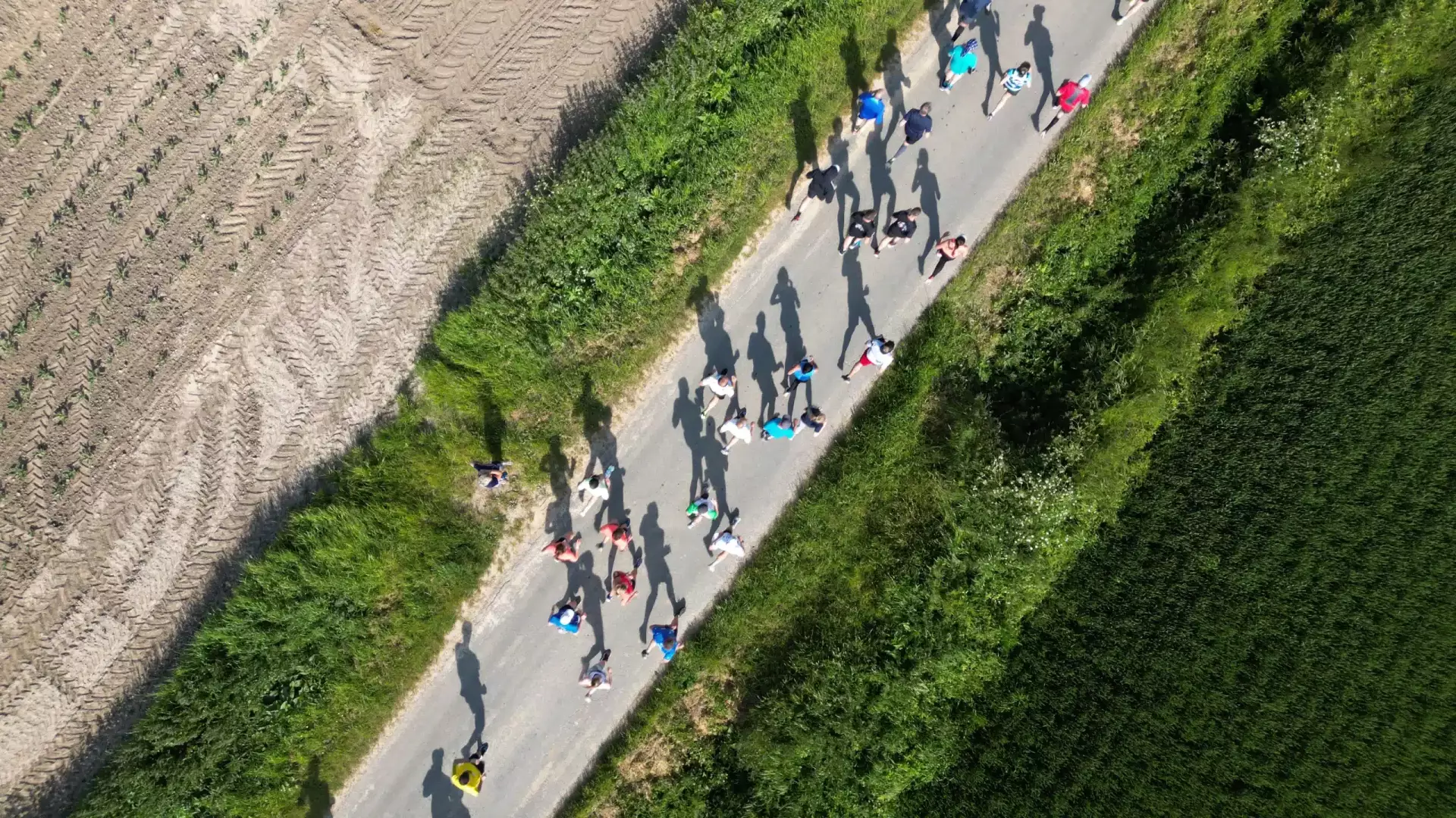 Vélo électrique sur un chemin rural entouré de champs et de verdure.